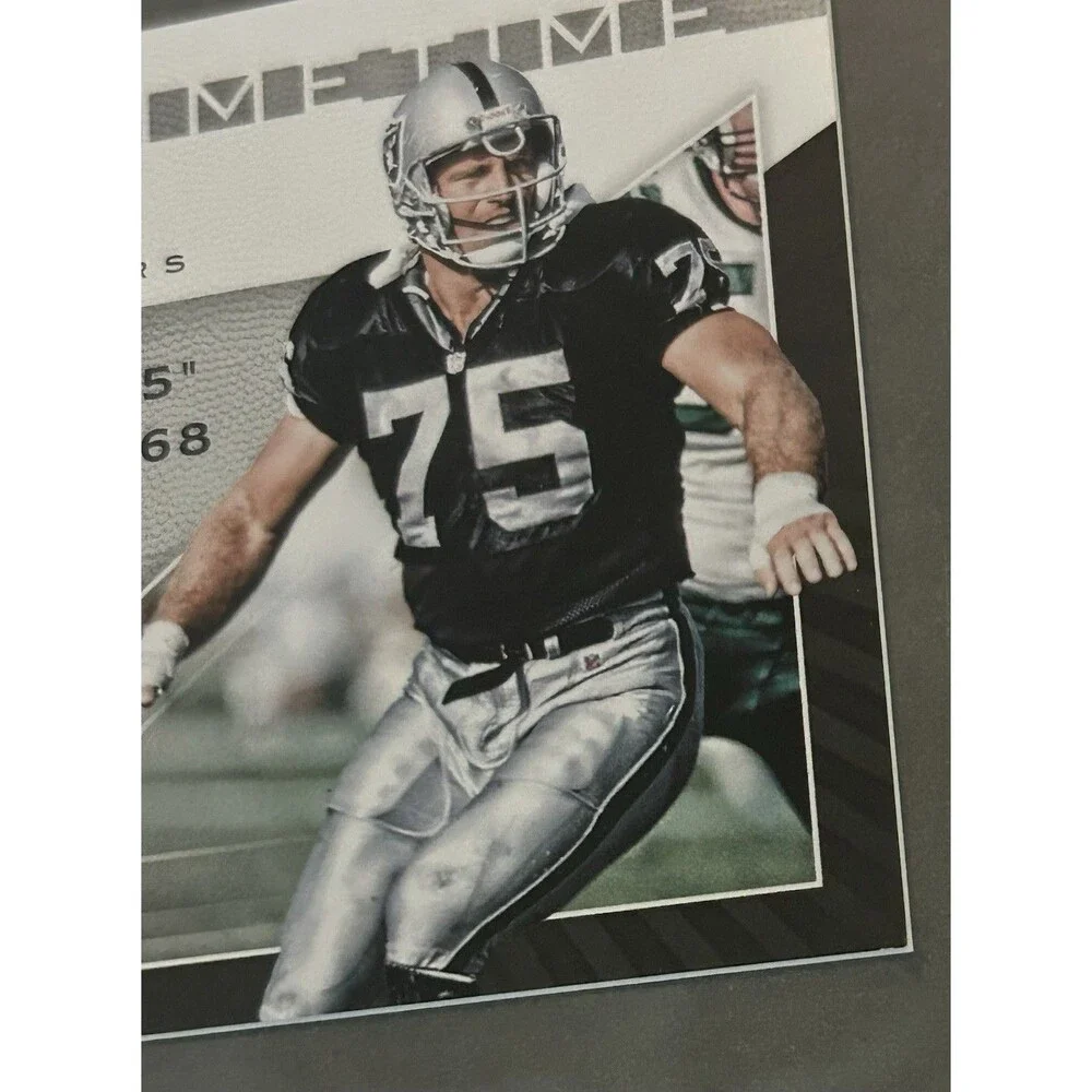 2017 Panini Limited - Howie Long Patch /25 Raiders